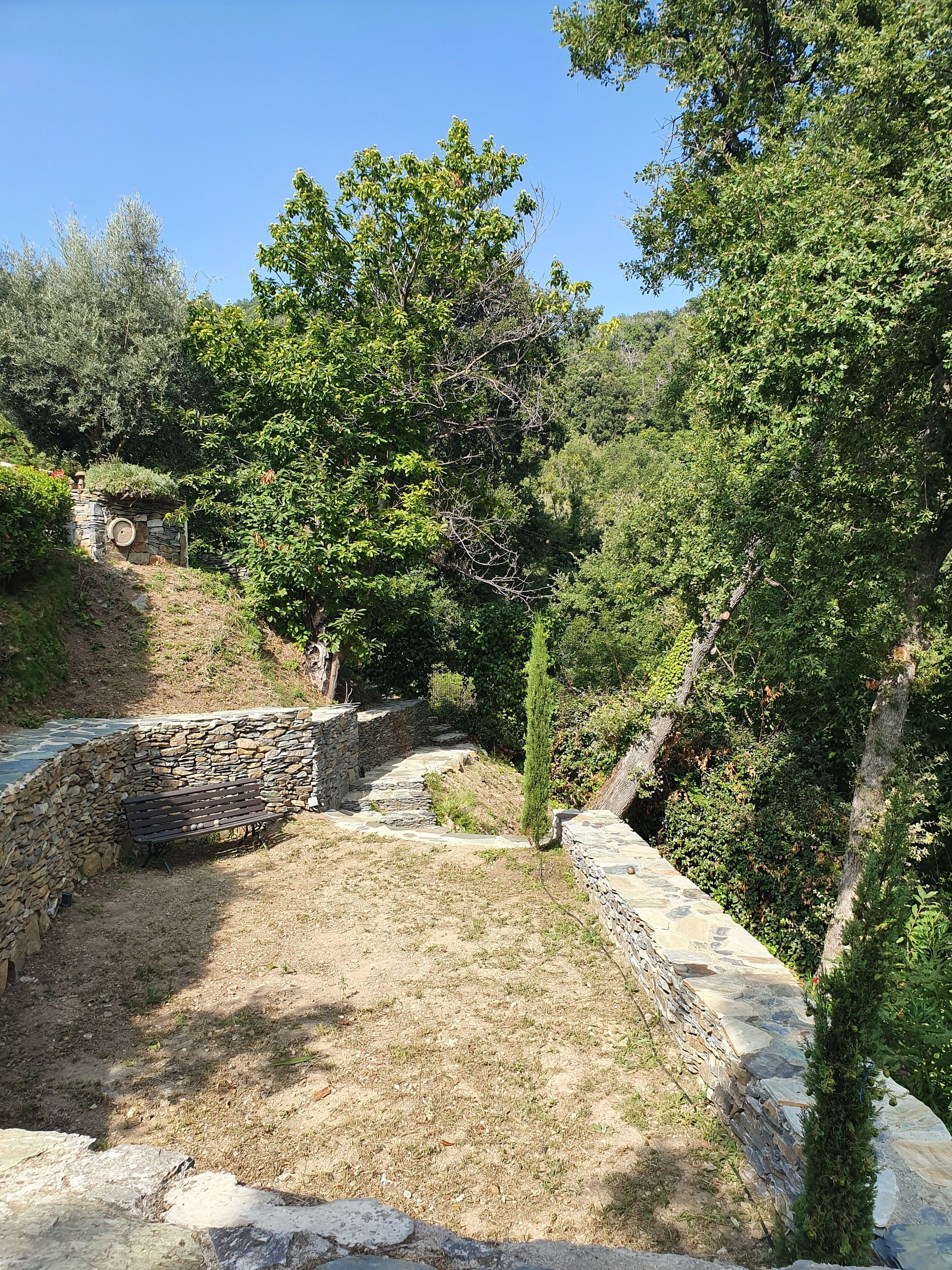 A stone pathway leading through a lush garden with a bench and a stone wall.