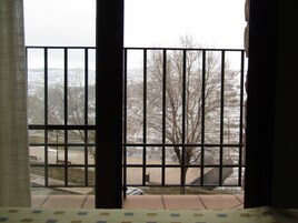 Vista a través de una reja con paisaje nevado al exterior.