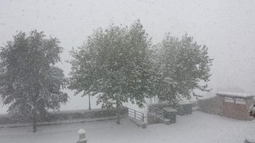 Paisaje nevado con árboles y un edificio.