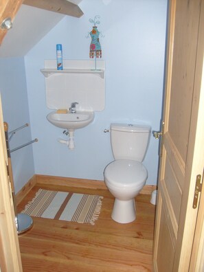 Shower, hair dryer, toilet paper