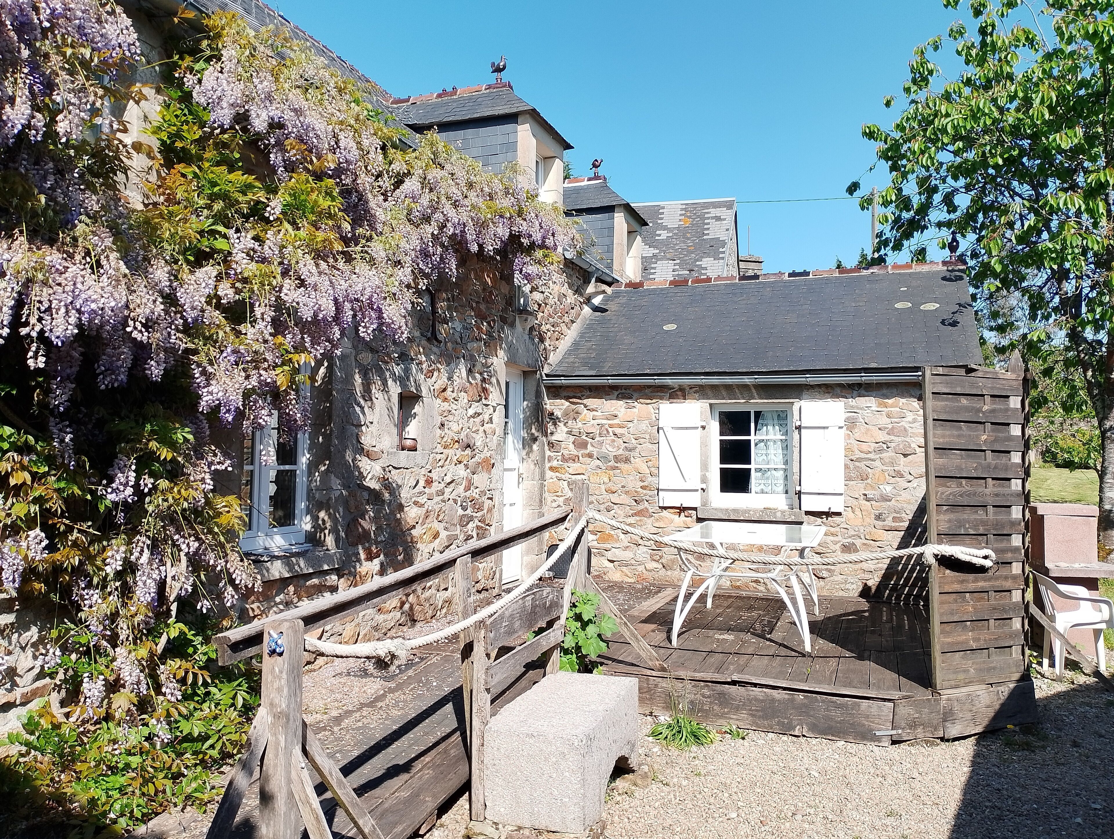 テラス / パティオ