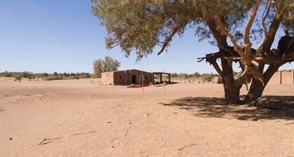 Nomadic Life Camp