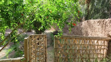 المنطقة المحيطة بالمنشأة