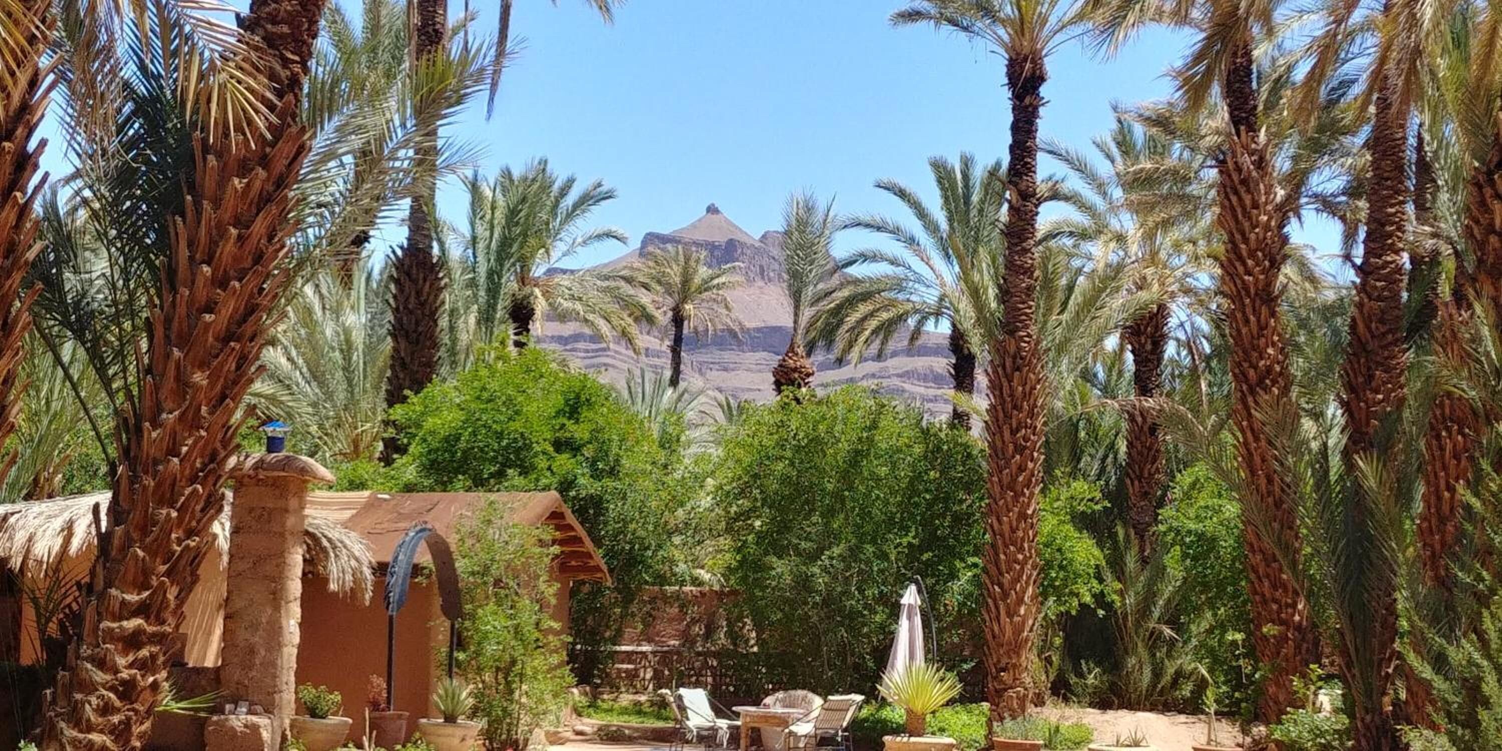 A courtyard with palm trees, a thatched-roof hut, and a view of a mountain.
