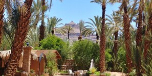 Property grounds - Dar Jnane La Maison Du Jardin (Agdz)