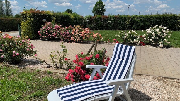 En have med en hvid loungeseng med blå striber, omgivet af forskellige blomstrende planter og en belagt sti.