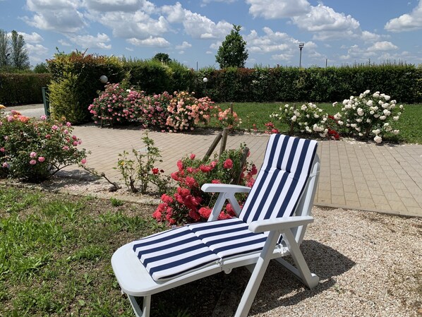 Property grounds - Casa Vacanza (Holiday Home) (Castelfranco Emilia)