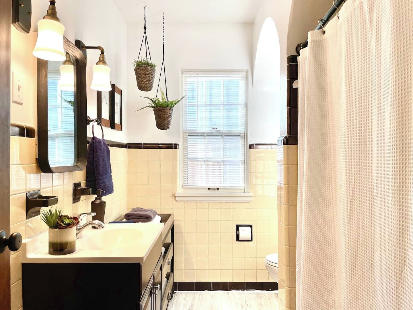 A bathroom with a sink, mirror, hanging plants, and a window.