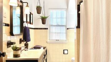 A bathroom with a sink, mirror, hanging plants, and a window.