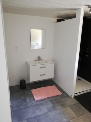 Shower, hair dryer, towels, toilet paper - Charming Duplex 4 people (FLEURY-SUR-ORNE)