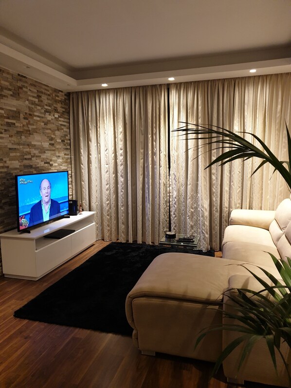 Televisión 