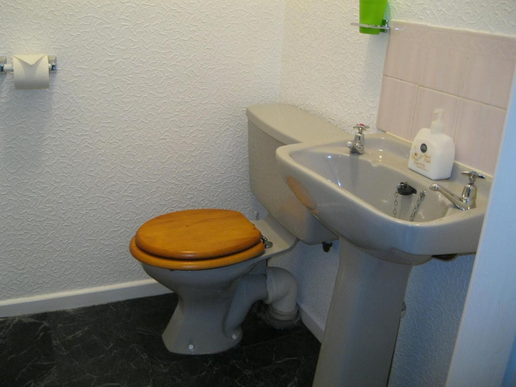Un baño con inodoro, lavamanos y soporte para papel higiénico.