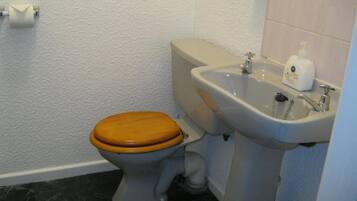 Un baño con inodoro, lavamanos y soporte para papel higiénico.