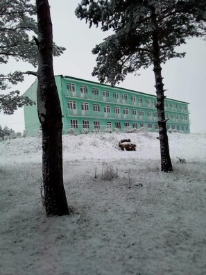 A multi-story building with a green facade and multiple windows. - Hotel Tsalka (Tsalka)