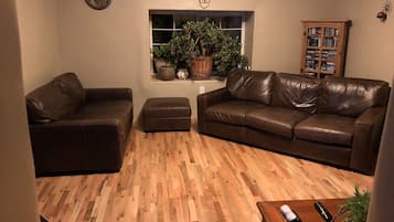 TV, fireplace, books