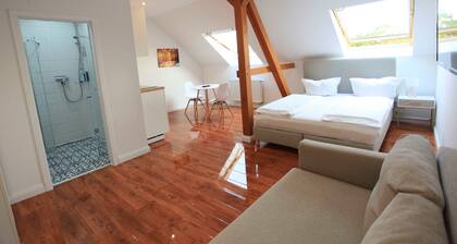 Standard Apartment (ohne Sauna) - Zollikof Aparts - Sauna & Studio Apartments