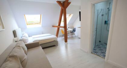 Standard Apartment (ohne Sauna) - Zollikof Aparts - Sauna & Studio Apartments