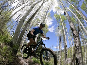 Ein Mountainbiker fährt auf einem Waldweg, umgeben von hohen Bäumen, bei blauem Himmel.