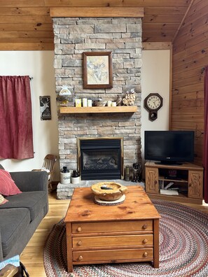 TV, fireplace, DVD player, books