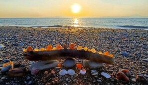 Ein Kiesstrand mit einem Baumstamm und Meeresschnecken.