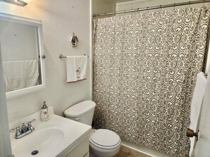A bathroom with a sink, toilet, and shower curtain. - 1 MILE TO MOUTH OF KENAI RIVER! (Kenai)