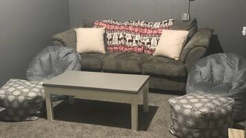 TV connectée, cheminée, lecteur de DVD, livres