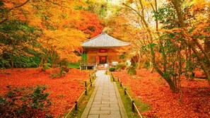 A traditional Japanese building with a tiled roof, surrounded by a pathway and autumn foliage. - Okumatsushima Lane Hotel (Higashimatsushima)