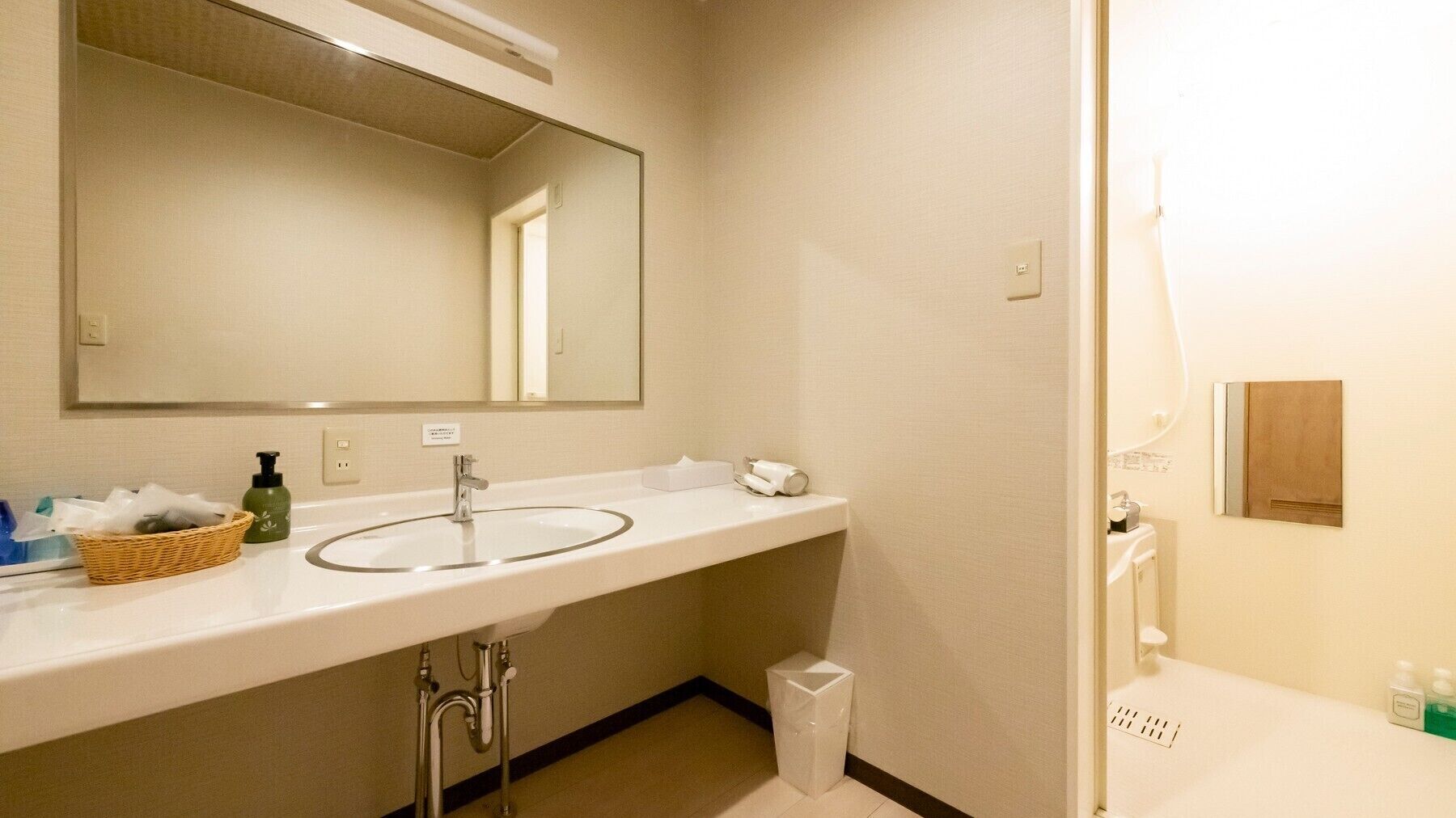 A bathroom with a sink, mirror, and a trash bin.
