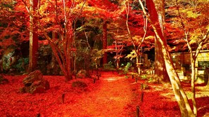 A forest path with red foliage and stone lanterns. - Okumatsushima Lane Hotel (Higashimatsushima)