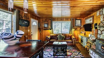 TV, fireplace, DVD player, books