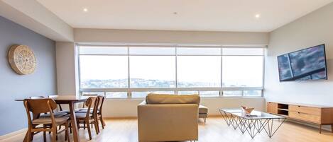 Televisio, DVD-soitin, kirjoja, stereot