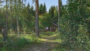 En stuga omgiven av tät skog, med en grusväg som leder fram till den.