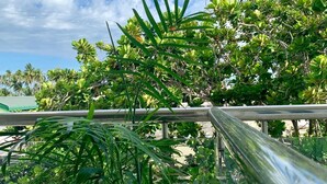 Khuôn viên nơi lưu trú