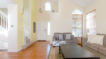 Smart TV, fireplace, books