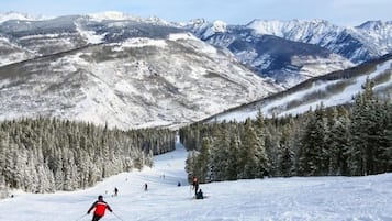 Deportes de invierno y ski