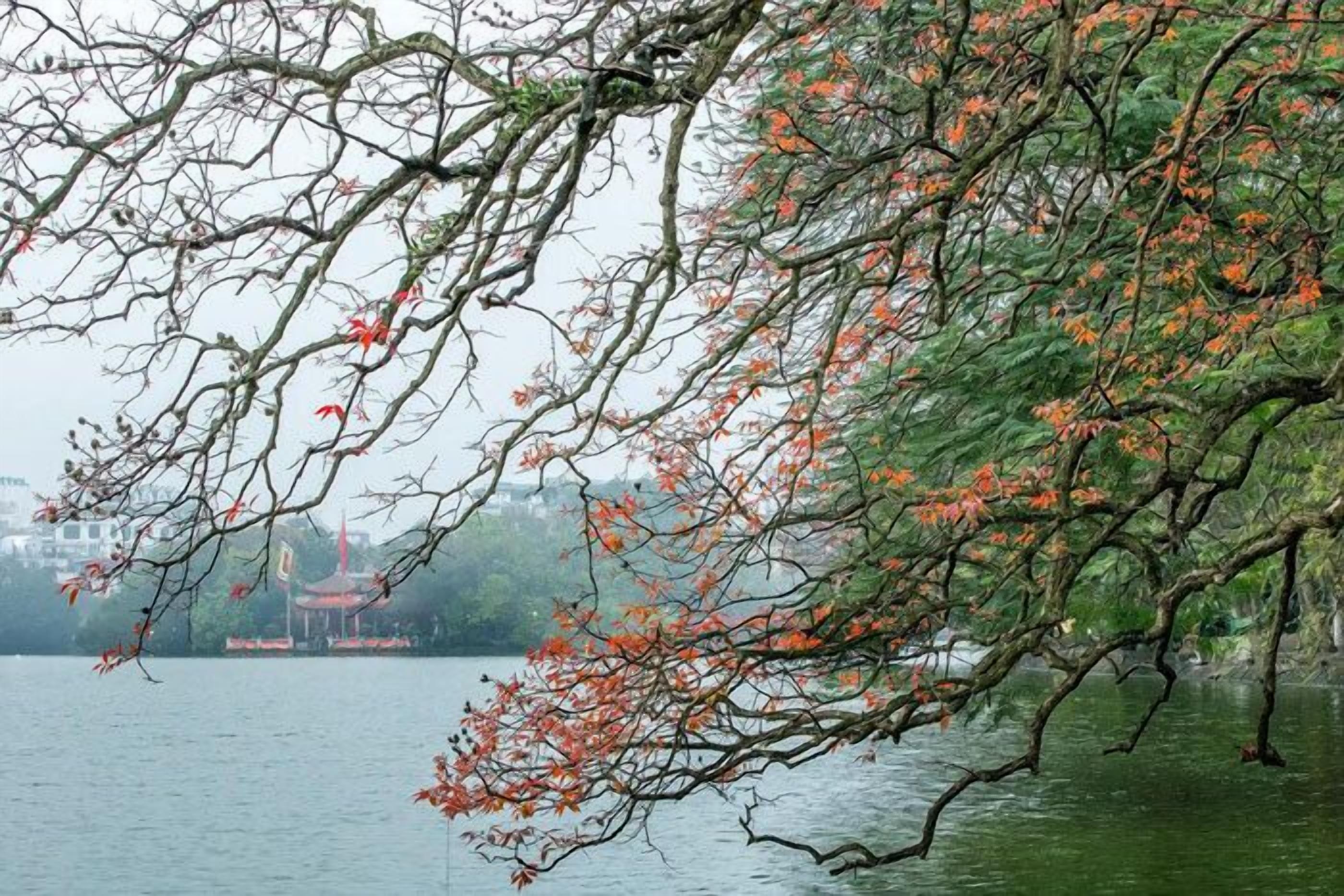 Foto - Graffiti Hotel