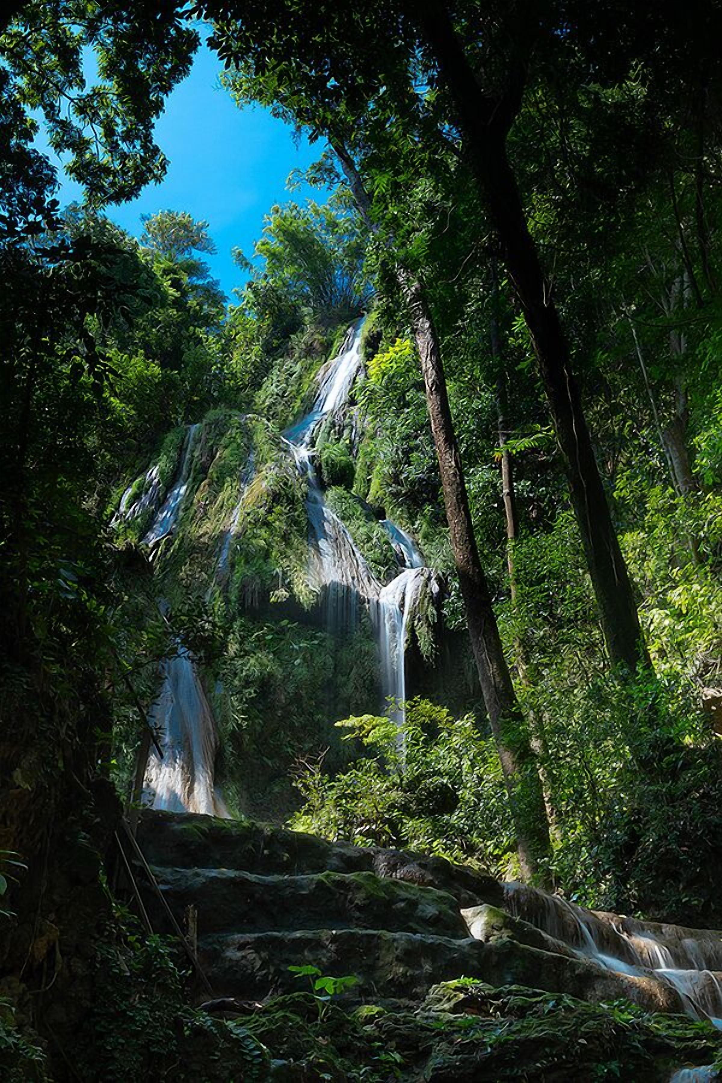 Ein Wasserfall stürzt durch ein bewaldetes Gebiet mit dichtem Grün und felsigem Gelände.