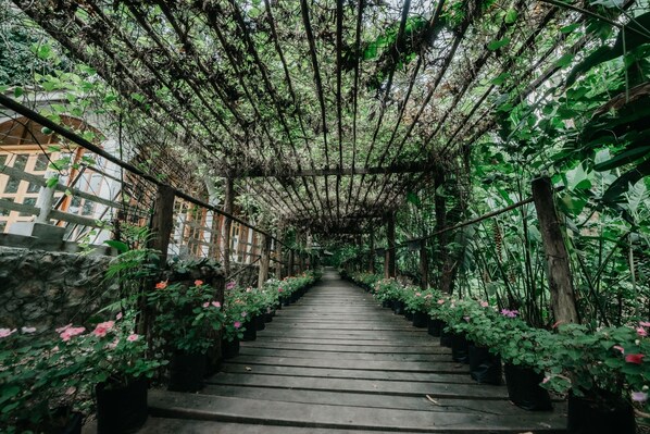 Property grounds - Luxury Camp@Green Jungle Park (Luang Prabang)