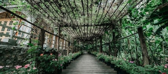 Luxury Camp@Green Jungle Park