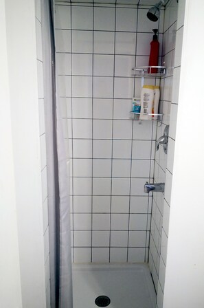 Suite familiale | Salle de bain | Douche, séchoir à cheveux, serviettes fournies, savon