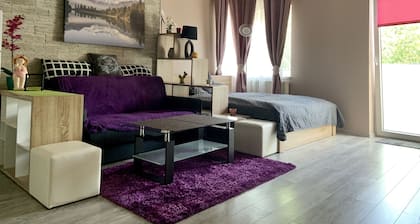 Sunny beautiful apartment