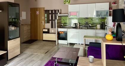 Sunny beautiful apartment