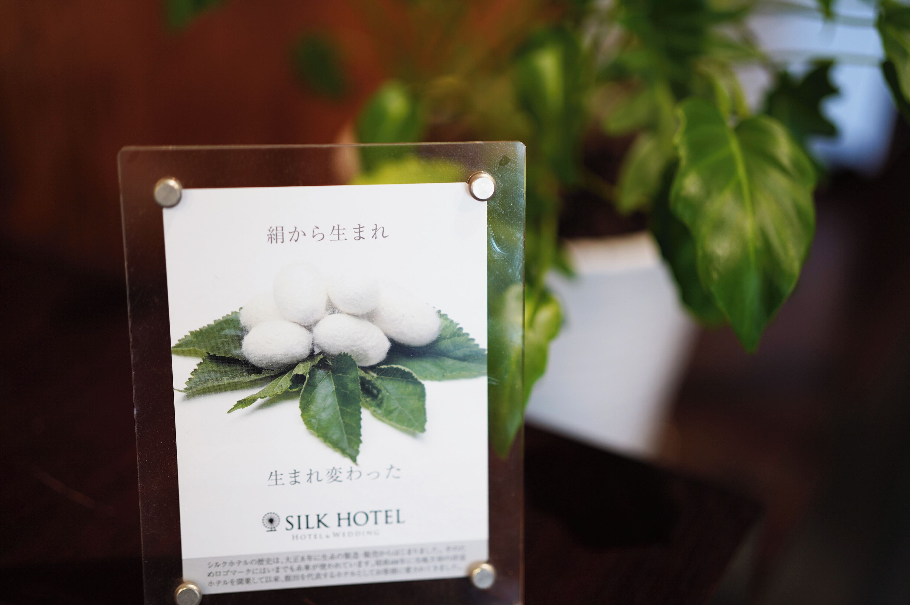 A sign with Japanese text and a cotton plant illustration, likely indicating a hotel or accommodation.