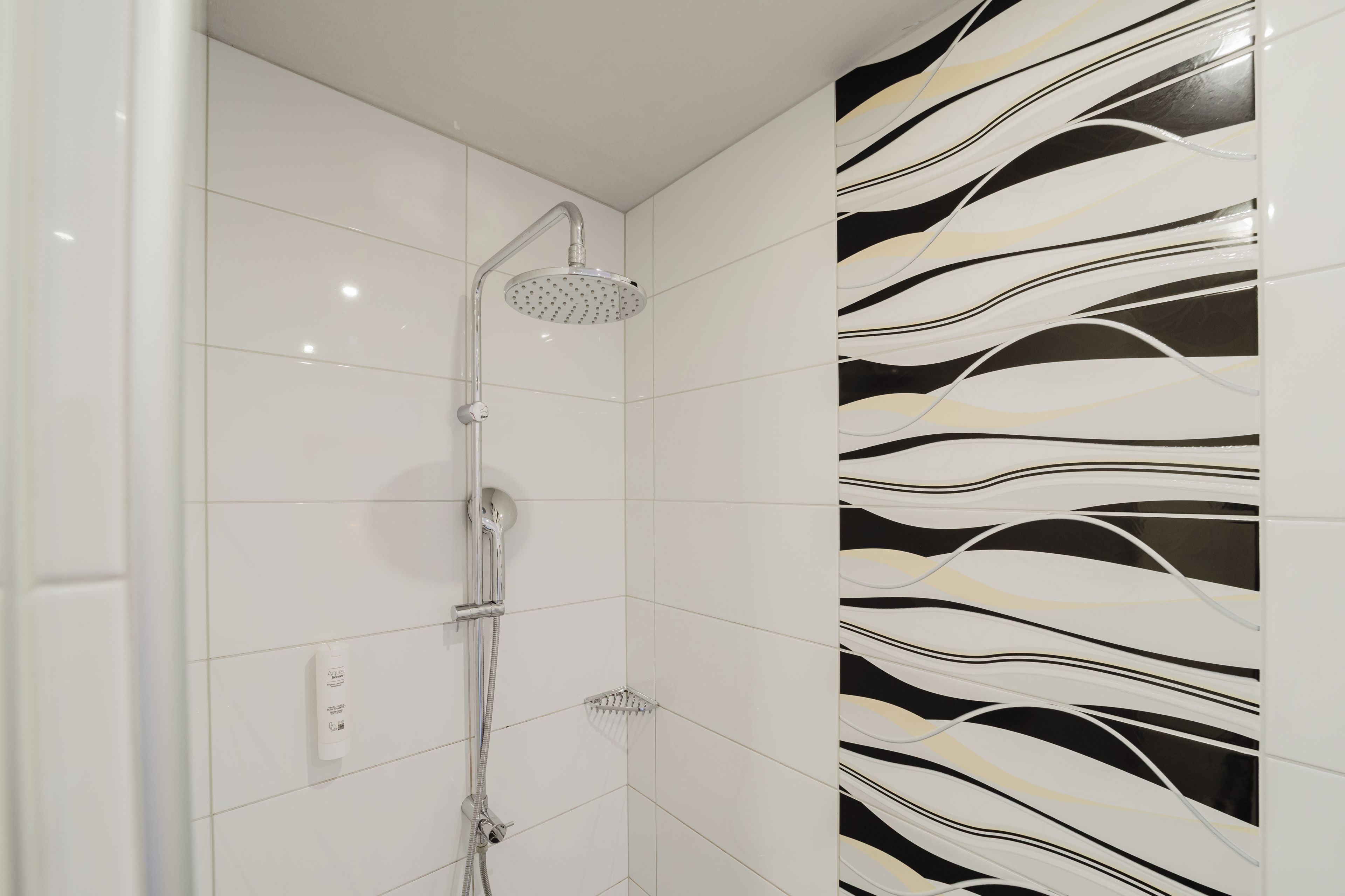 Eine Dusche mit Handbrause und einer fest installierten Bedienkonsole.