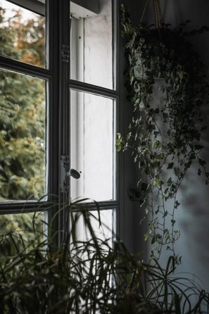 A window with a view of greenery outside, a white wall, and a plant hanging on the wall. - PieuX (Montreuil-sur-Mer)