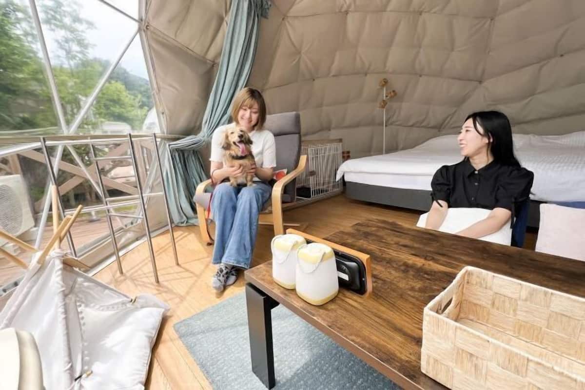1 bedroom, down duvets, free WiFi, bed sheets