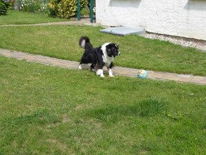 Image sans description, 5 de 11, bouton