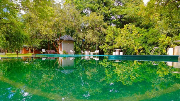 Una piscina cristalina rodeada de exuberante vegetación y un pequeño pabellón.