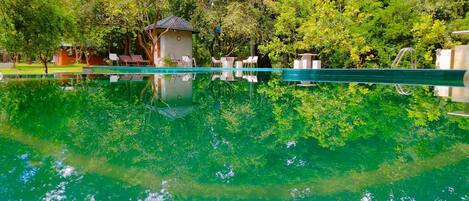 Outdoor pool, pool loungers