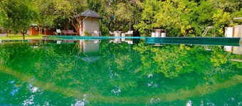 Nil diya mankada safari lodge